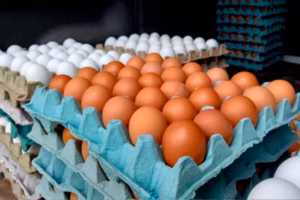 Huevos